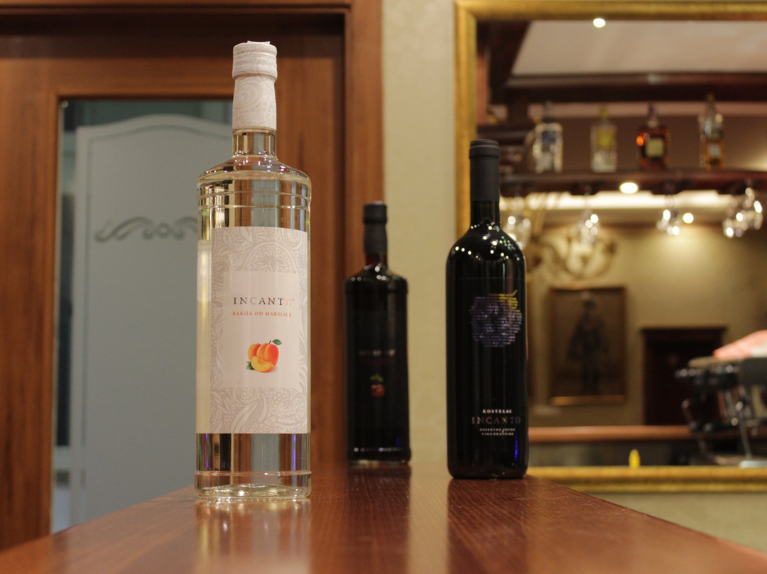 Suhopolje酒店住宿-Hotel Kurija Jankovic