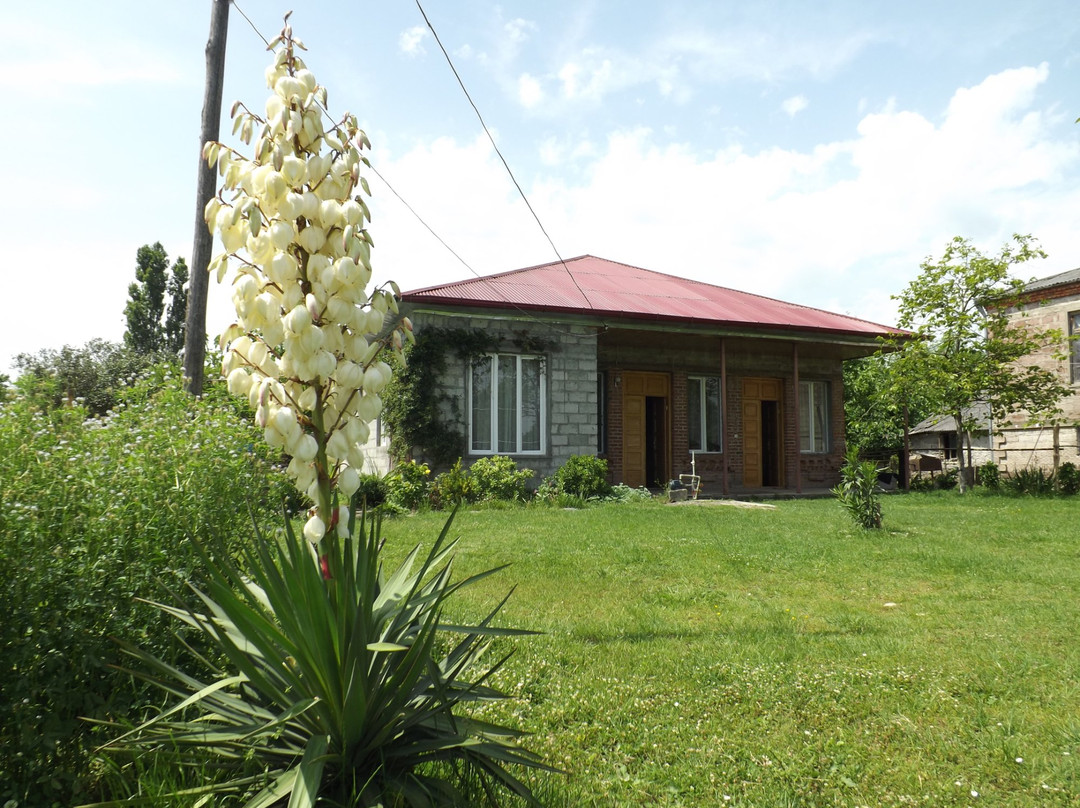 Tiny Houses Genacvale in Bandza