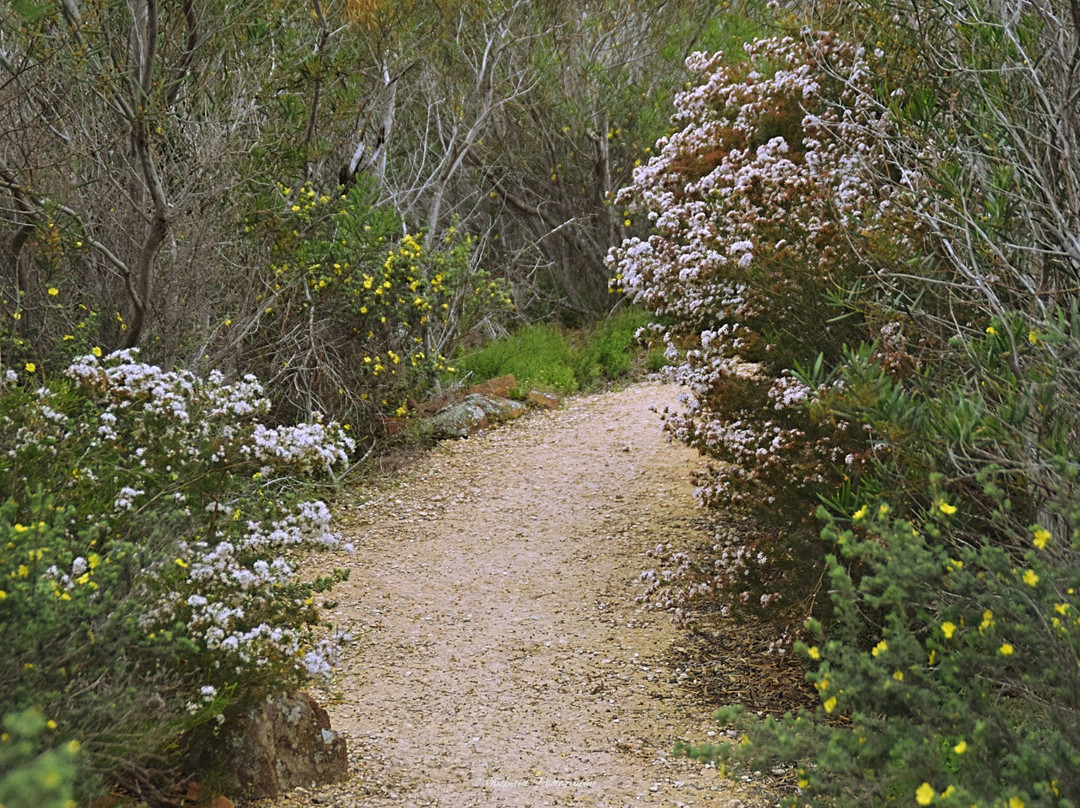 Flinders Monument-Port Lincoln必去景点