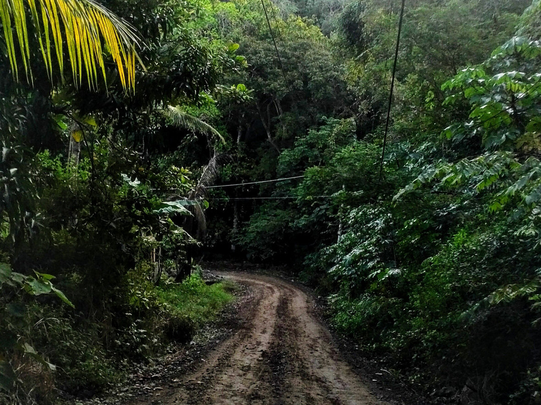 La Casa de Manito主图