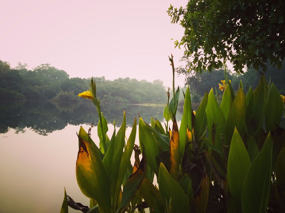 Hazaribagh Wildlife Sanctuary景点图片