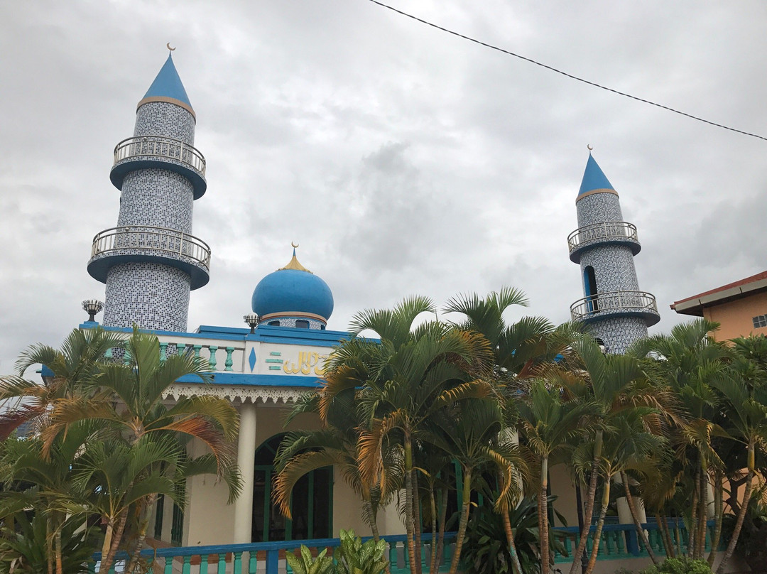 Darussalam Mosque (Masjid Darussalam)-金边必去景点