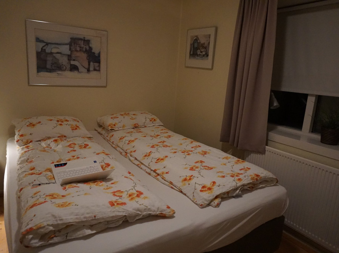 Steinar Guesthouse主图