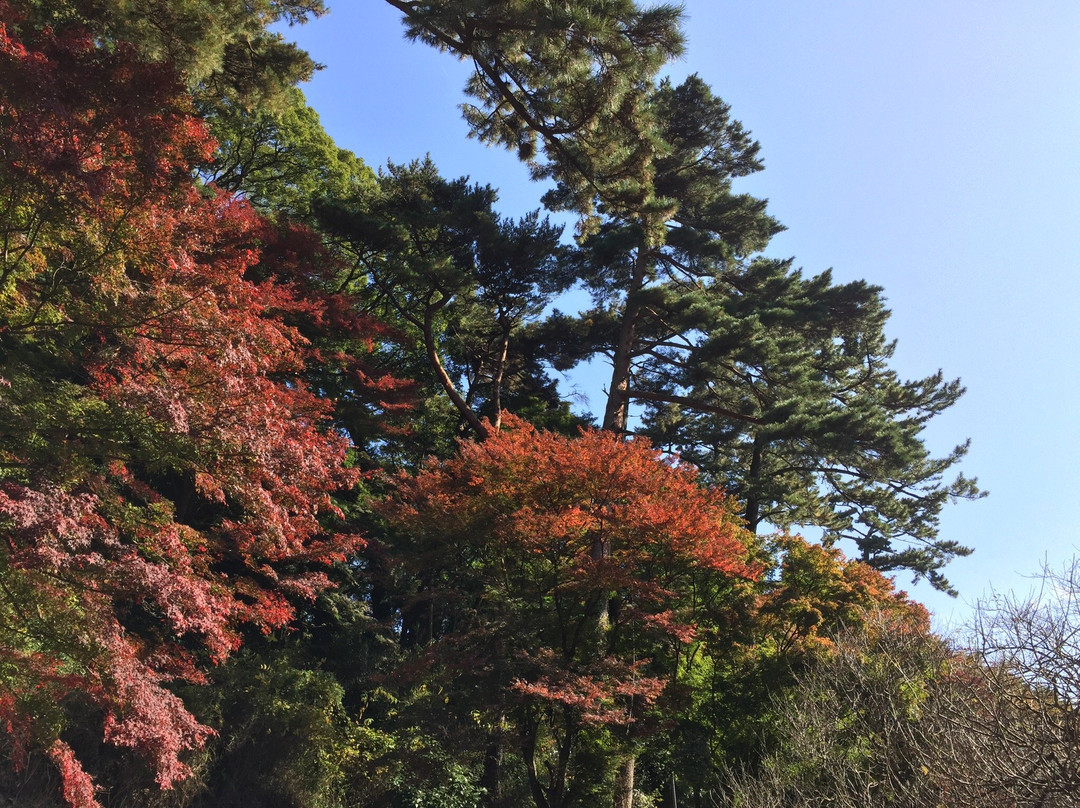 Atami Baien Ume Blossom Festival