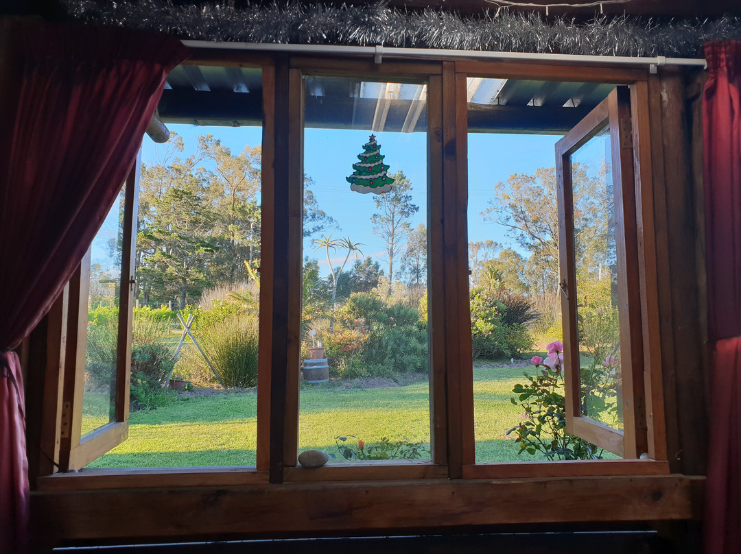 Theescombe Estate Wine Farm-伊丽莎白港必去景点