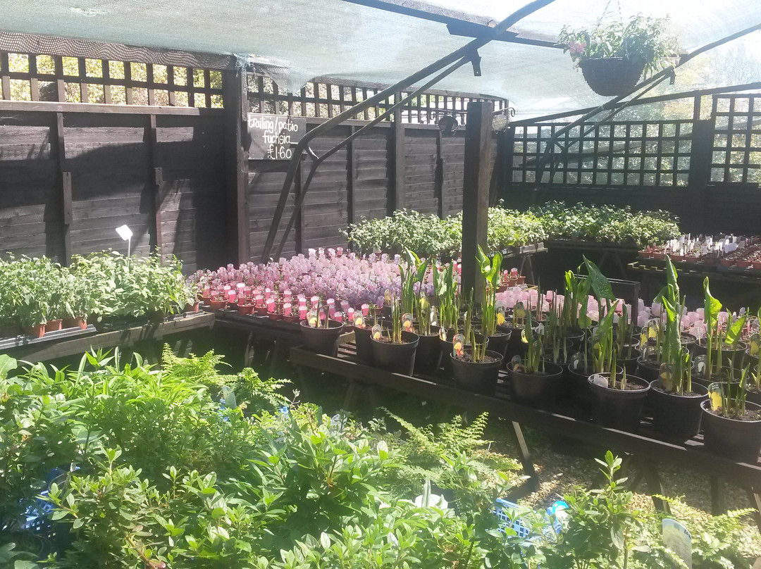 Ager Farm Nursery-Newchurch必去景点