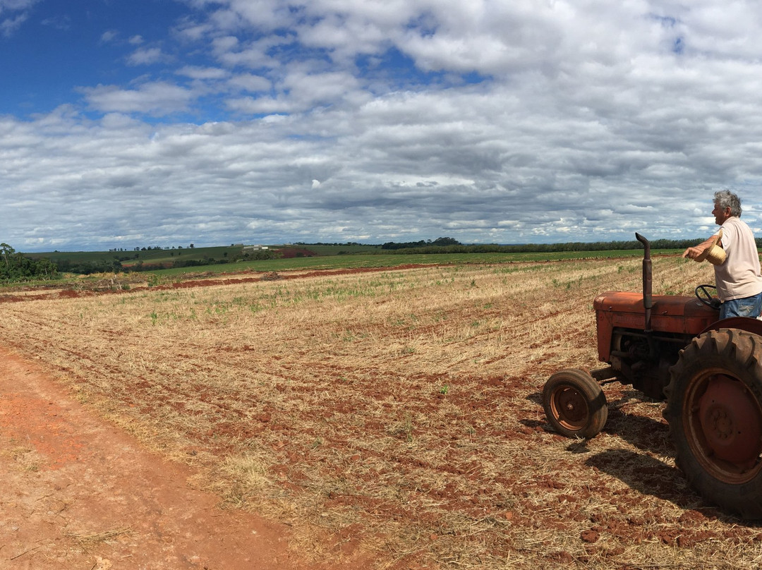 Tamarana旅游景点-Casa Müller