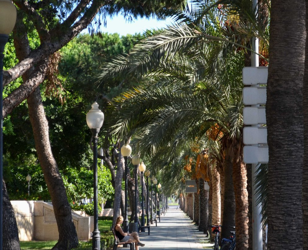 Parque Nicolas Salmeron景点图片