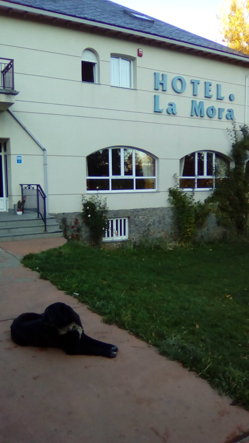 Hotel La Mora-浴室
