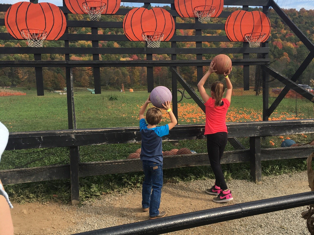 Iron Kettle Farm-Candor必去景点