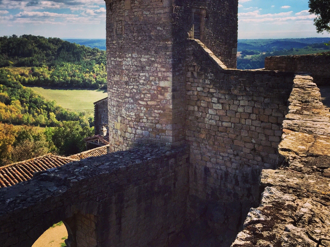 Puycelci旅游攻略图片