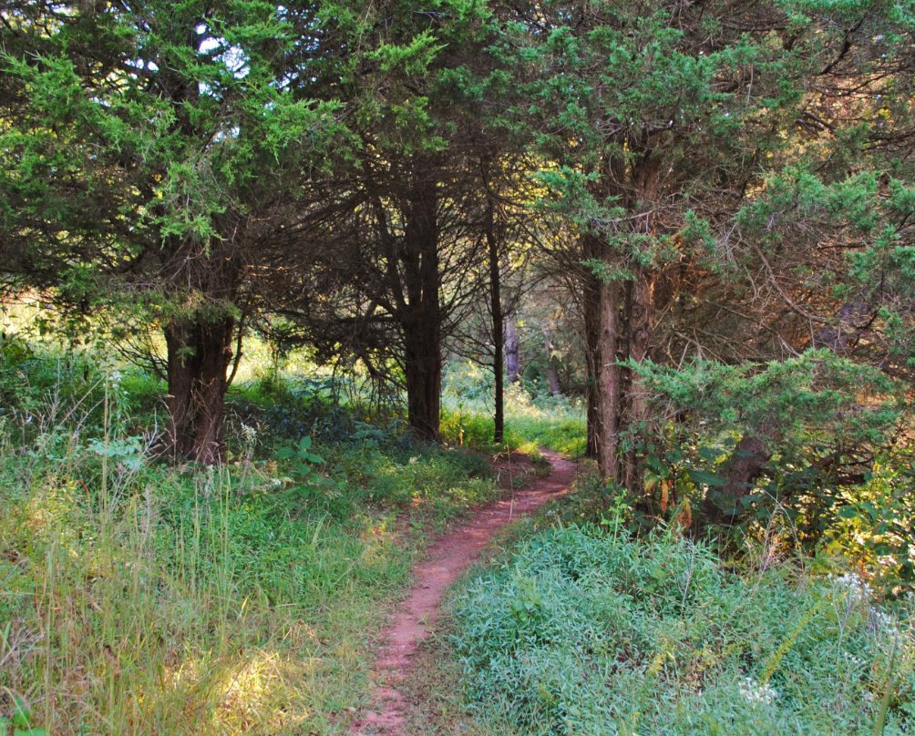 Mountain Laurel Trails景点图片