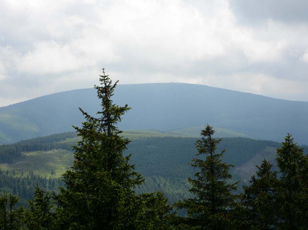 Snieznicki Landscape Park景点图片