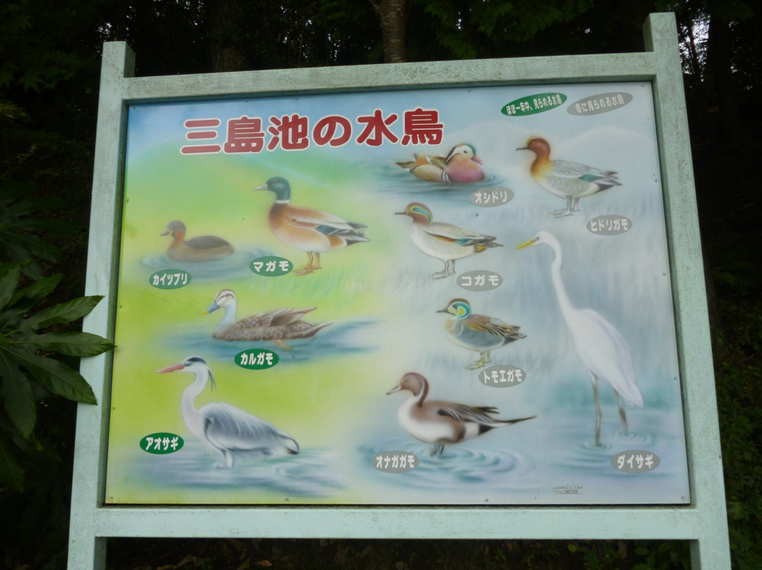 Mishima Pond-米原市必去景点