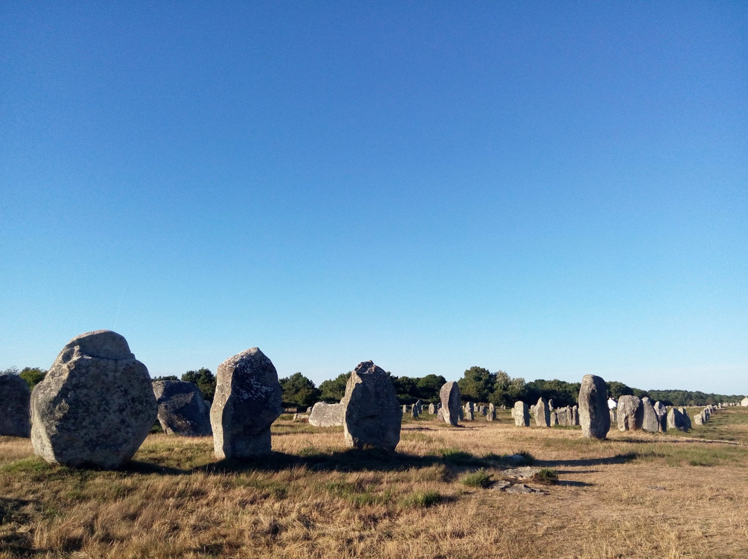 Centre Equestre Des Menhirs-卡纳克必去景点