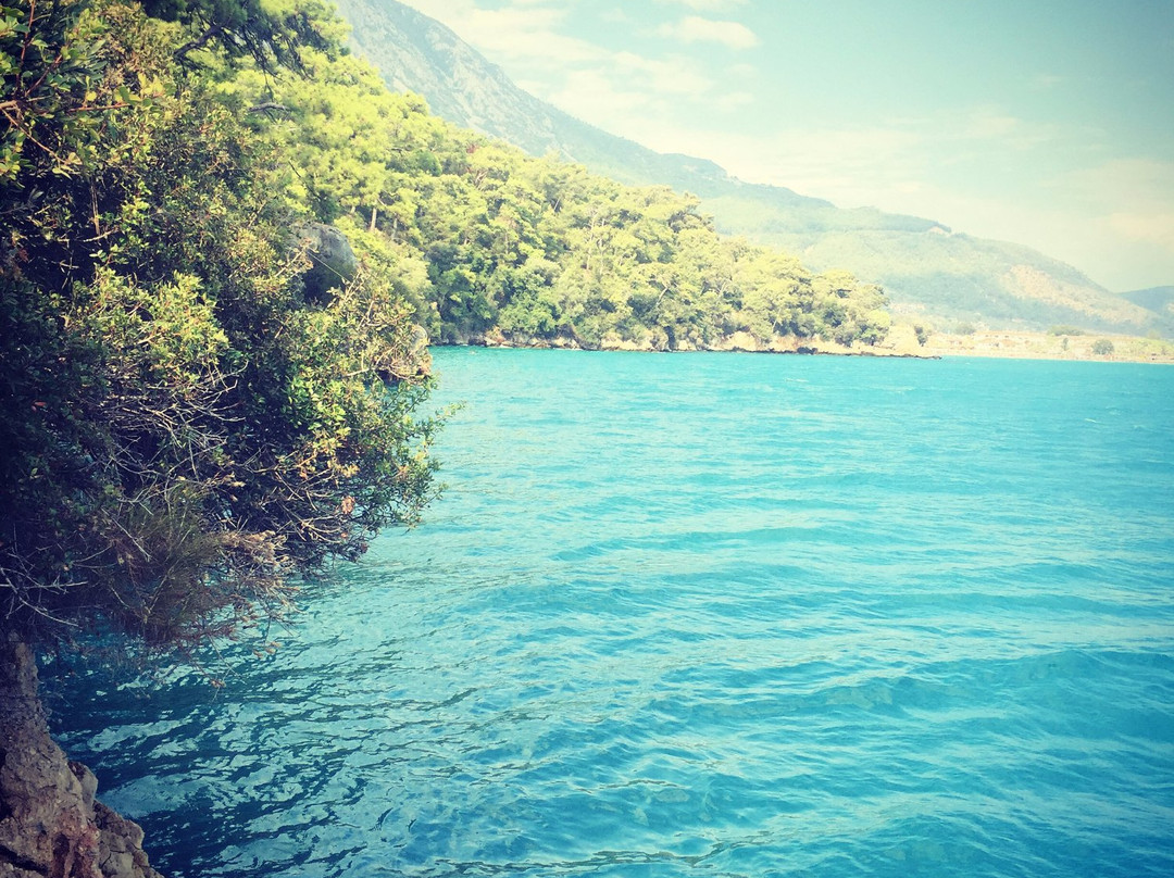 Lodges in Akyaka Kamp主图