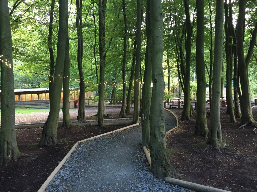 Kingsland旅游攻略图片