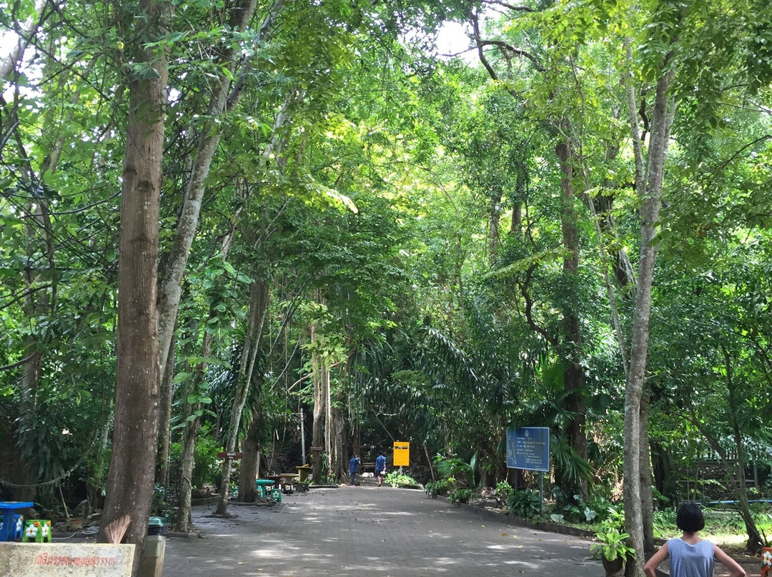 Tham Khao Plu Hot Spring景点图片