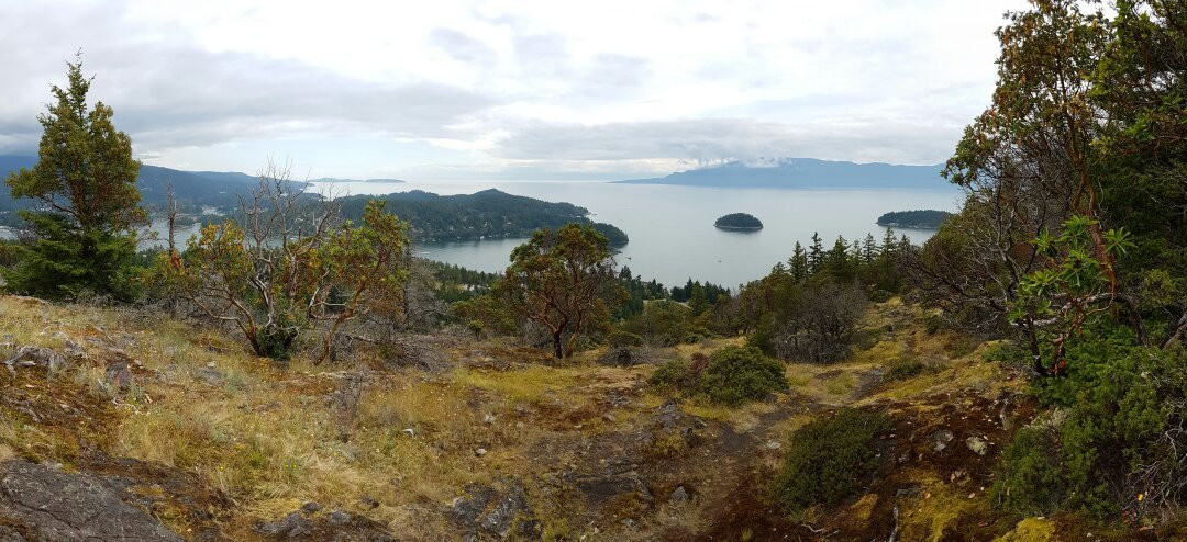 Pender Hill Park-马德拉公园镇必去景点
