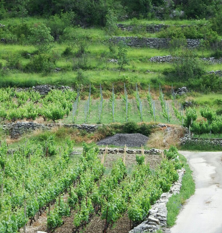 Veliki Godinj景点图片