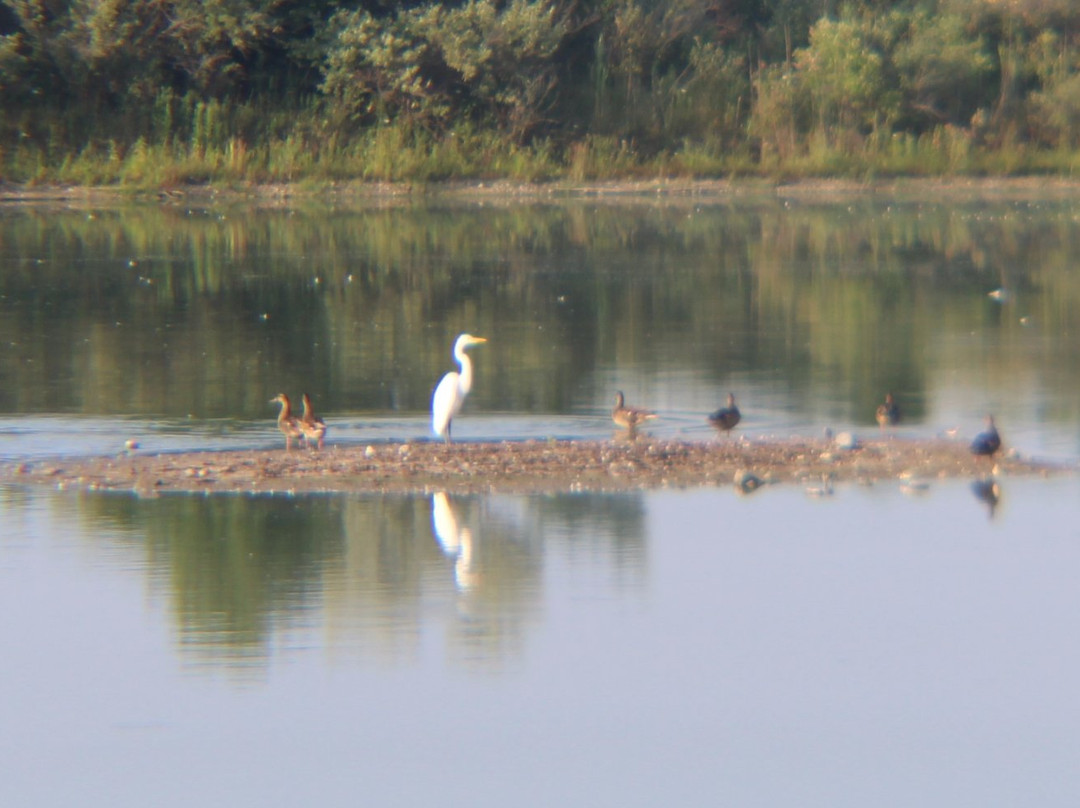 Wawanosh Wetlands Conservation Area景点图片