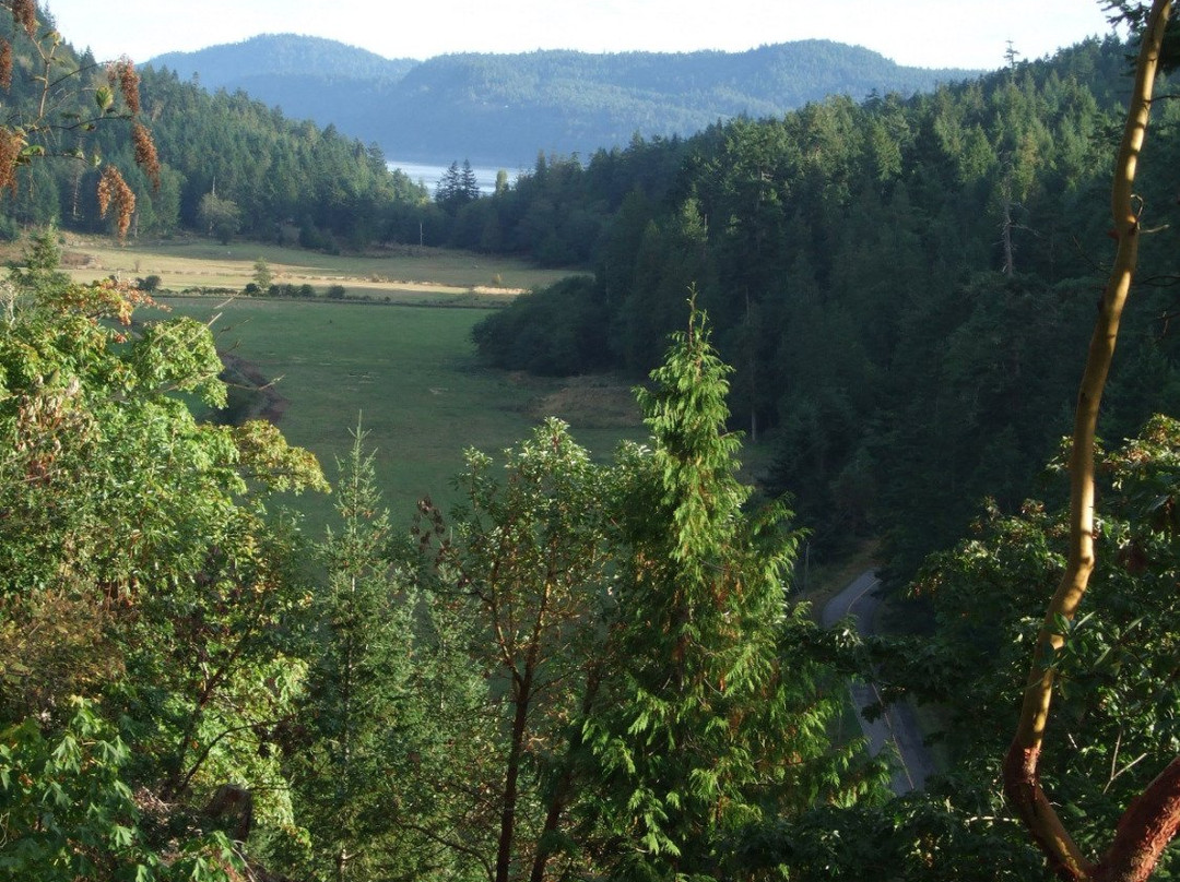 Fernhill Bed and Breakfast主图