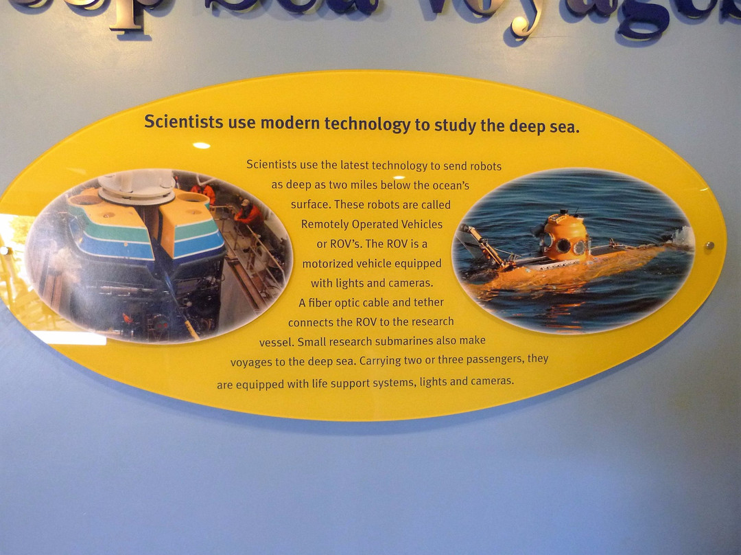 Coastal Discovery Center at San Simeon Bay (Monterey Bay National Marine Sanctuary)景点图片