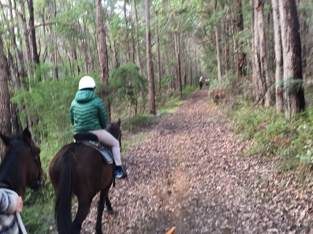 Cowboy Up Trail Rides-彭伯顿必去景点