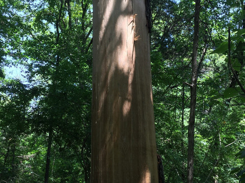 Boulder Park-达拉斯必去景点