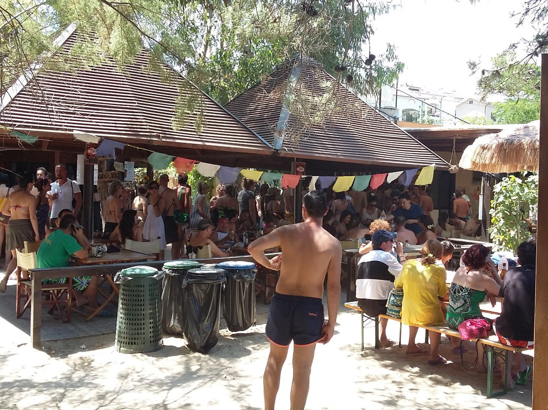 Eucaliptus Beach da Cilli-Pineto必去景点