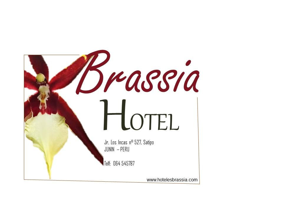 Hotel Brassia主图