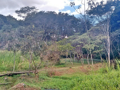 Parque do Basalto-Araraquara必去景点