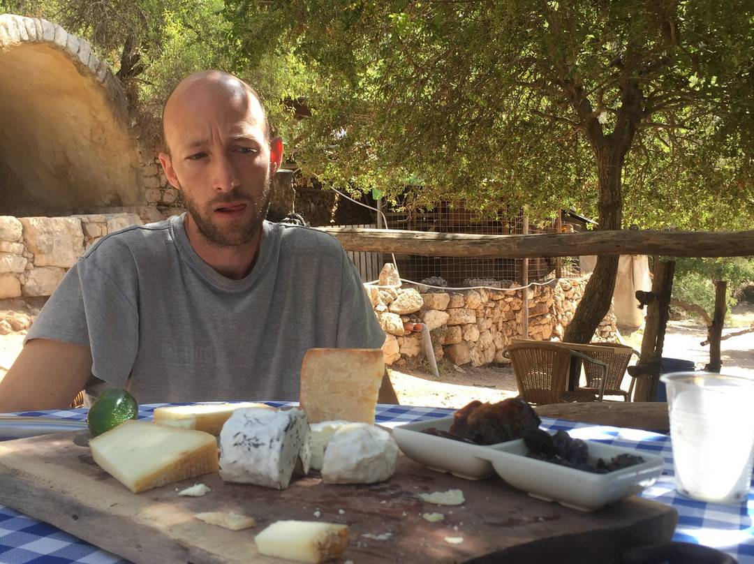 TAMAR Mediterranean Mototours Ltd.-Zichron Yaakov必去景点