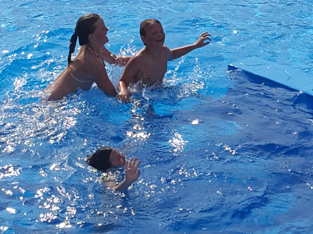 Pansion Dragica主图