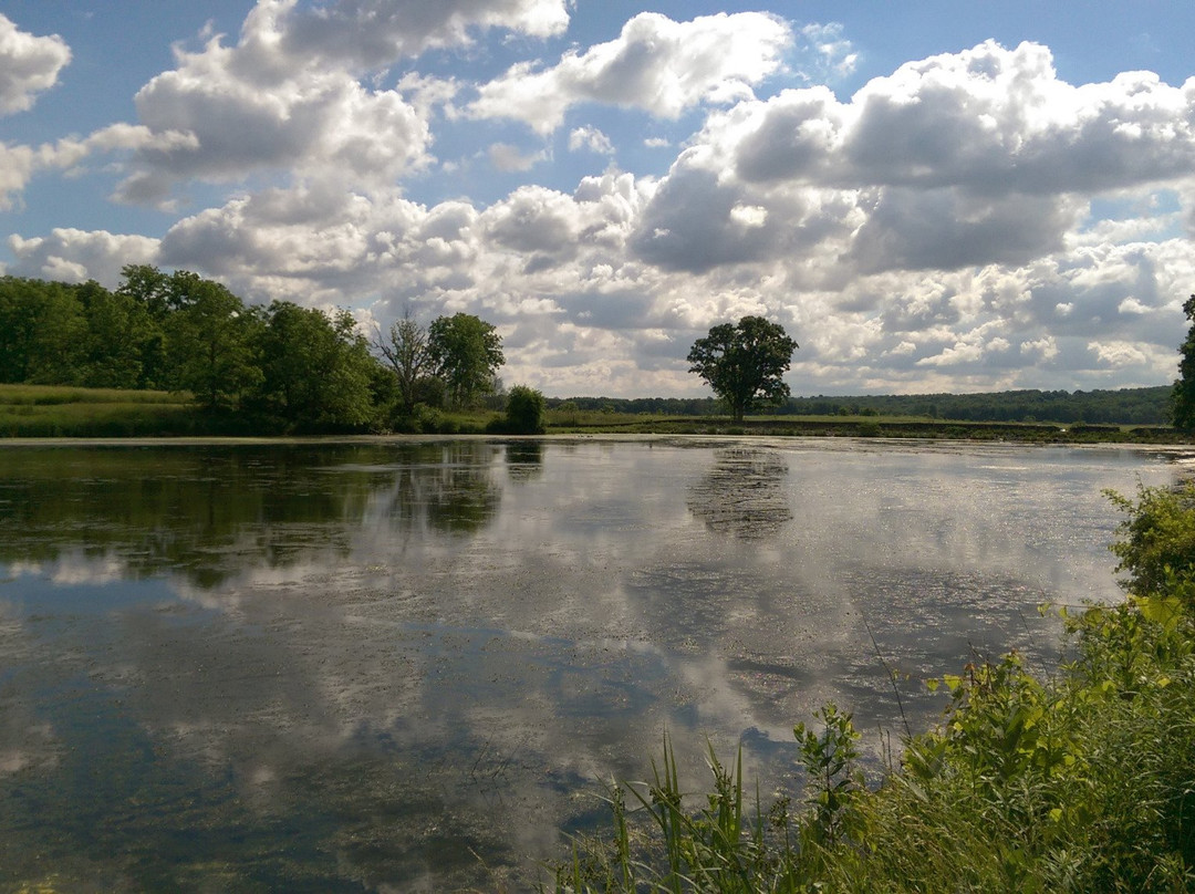 Prophetstown State Park Campground