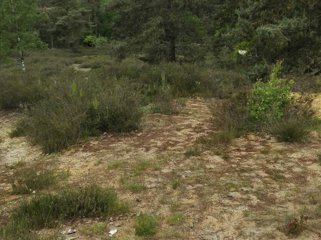 Soete-Wey Hostellerie主图