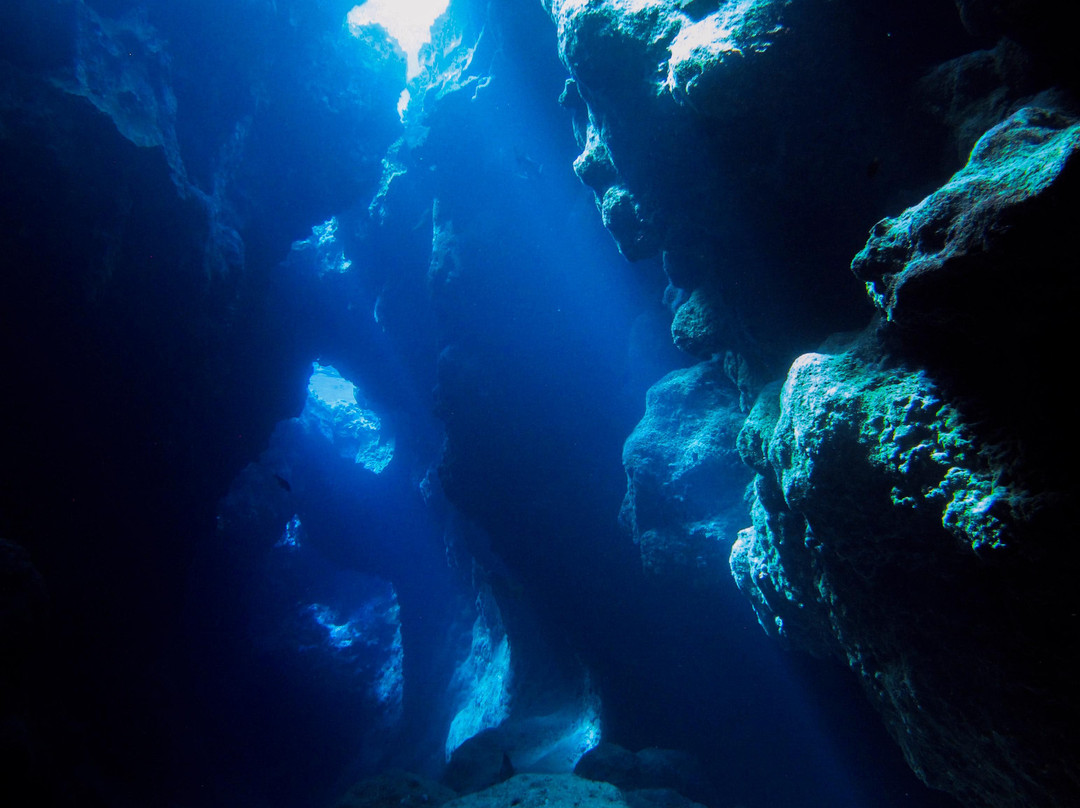 Magical Niue Sea Adventures-阿洛菲必去景点