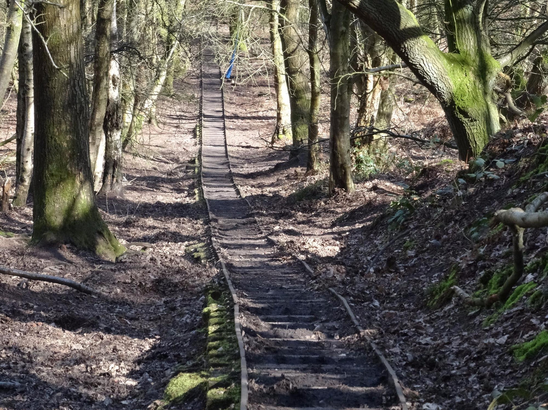 Sandstone Trail