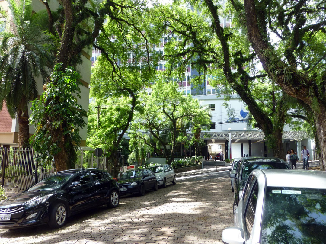 Rua Goncalo de Carvalho景点图片