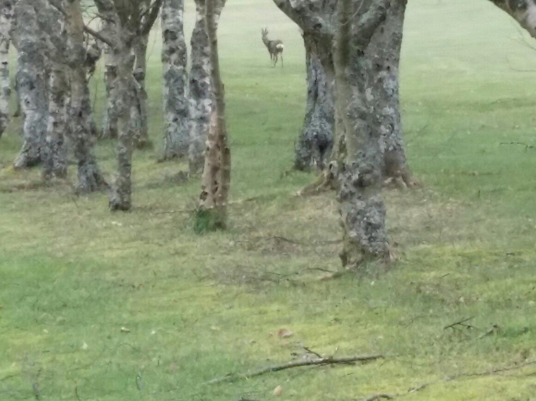 The Bishopbriggs Golf Club-格拉斯哥必去景点