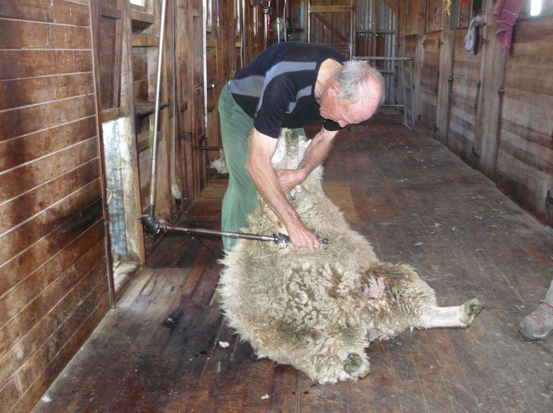 Station Life In Rural New Zealand-吉斯本必去景点