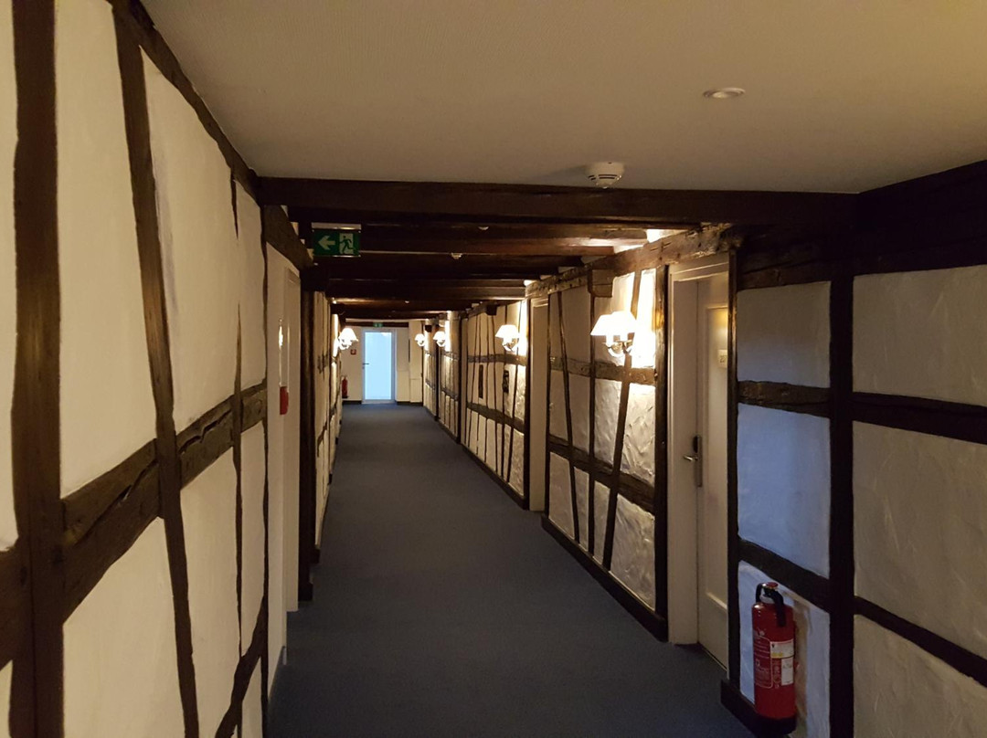 Hotel Ochsen主图