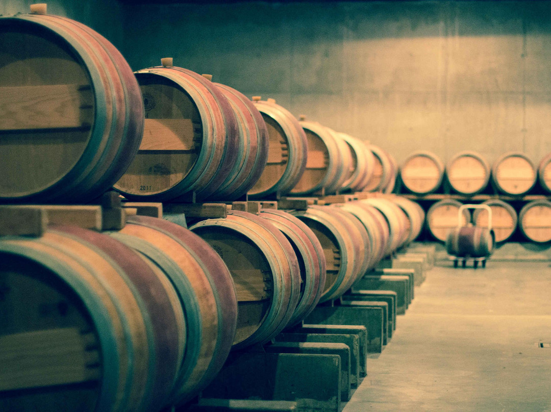 Château Brane-Cantenac景点图片