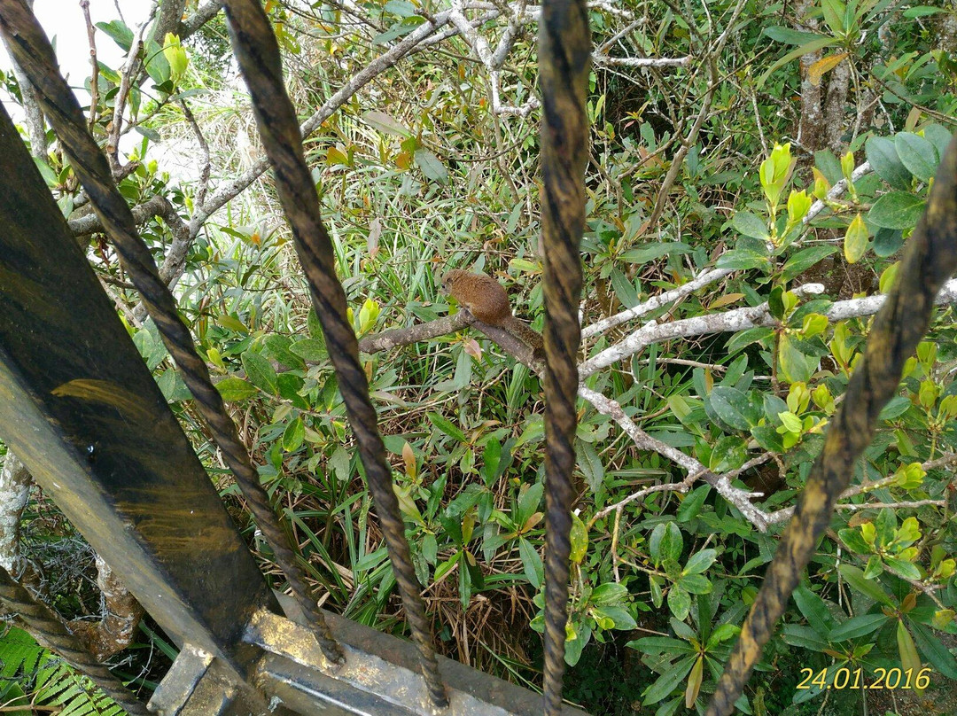 Borneo Via Ferrata-昆达山必去景点
