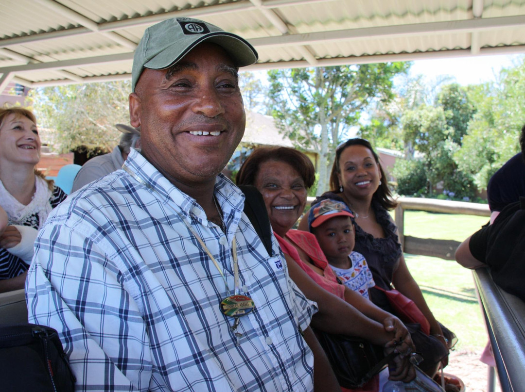 Charlo's Tours and Transfers-开普敦中心区必去景点