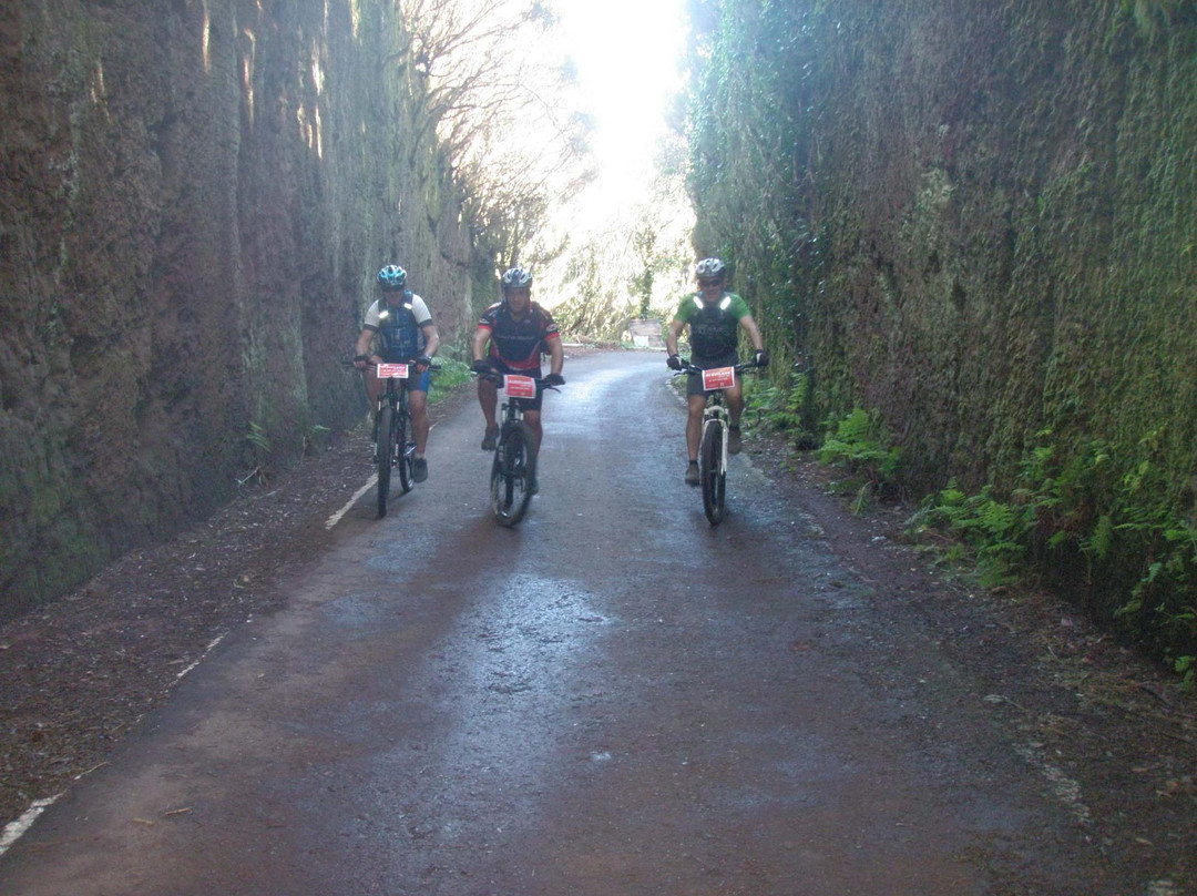 Virus Bike-圣克鲁斯-德特内里费必去景点