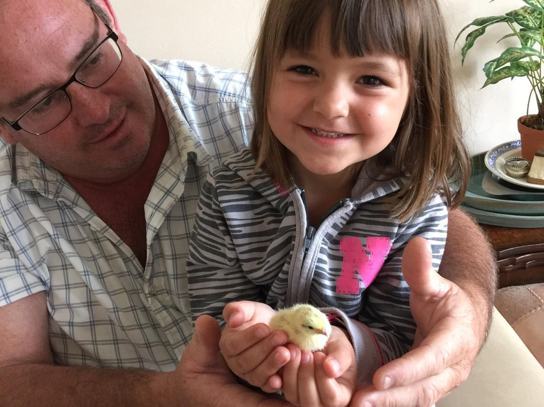 Thornhill Farm主图