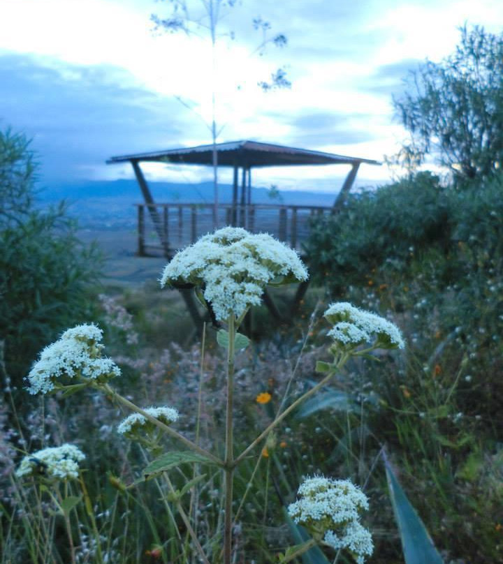 Ecoturismo San Pablo Etla景点图片