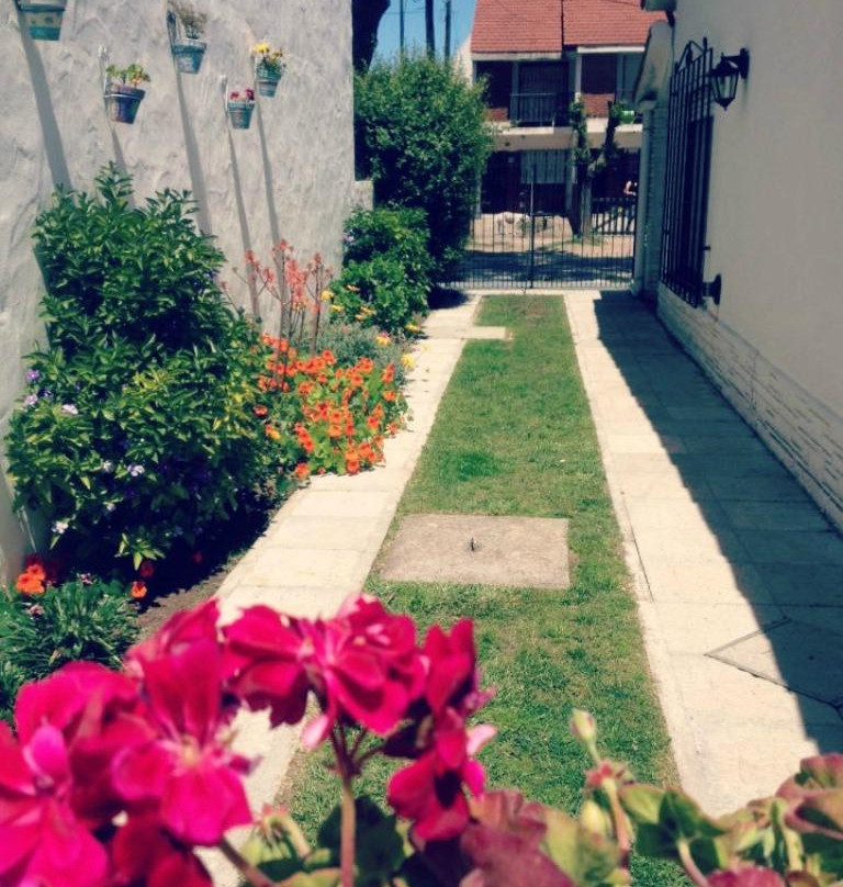 Amor Amarillo Hostel