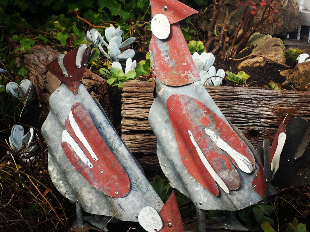 Wilson's at Robe-罗布必去景点